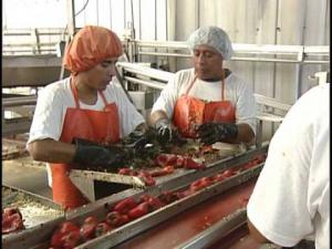 Ecosac sale a abrir mercados en Europa para línea de conservas