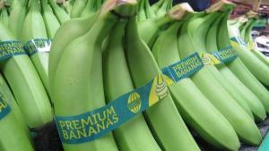 Ecuador: "Imposibilidad de cumplir contratos debido a la escasez de banano"