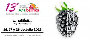 El 13ª Congreso Internacional de ANEBERRIES: Una cita imprescindible que no te puedes perder