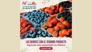 El 14º Congreso Internacional Aneberries ya “ultima los preparativos” para ser un nuevo referente mundial