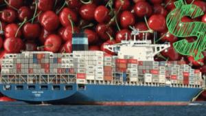 El millonario golpe a los exportadores chilenos de cerezas