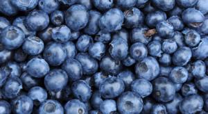 El Niño azotaría las principales regiones de producción de arándanos de Perú hasta mayo de 2024