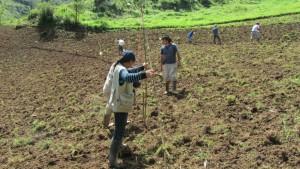 El Niño Global 2026 y sus impactos diferenciados en la agricultura peruana