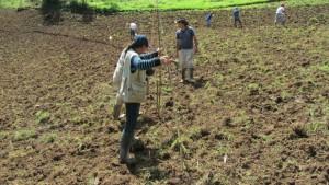 El Niño ya no es excepción: hacia una agricultura resiliente en el Perú