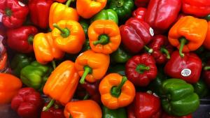 El pimiento morrón arrancó el 2025 con un crecimiento en sus exportaciones, pese a caída