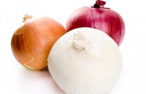 En auge la exportación de cebollas secas