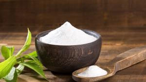 En mayo empiezan a instalar parcela piloto para desarrollo de industria de stevia en Piura