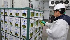 Entre 2000 y 2017 Frío Aéreo gestionó carga de agroexportación peruana por más de US$ 4.000 millones