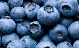 ENVIAR ARÁNDANOS A EE.UU.:EL RETO DEL TRATAMIENTO DE FRÍO