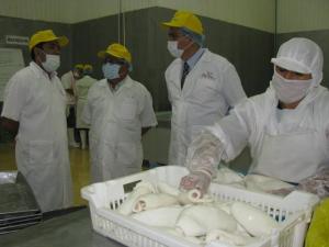 ENVÍOS DE POTA ALCANZARON LOS US$ 198.4 MILLONES