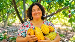 Existen más de 1.200 hectáreas de cacao en Piura, que generan 450 toneladas anuales de cacao fino de aroma