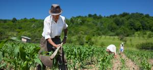 Expertos advierten riesgos que amenazan cifras de empleo formal