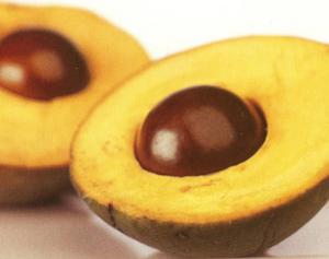 EXPORTACIÓN DE PULPA CONGELADA DE LÚCUMA CRECERÍA 25% EN CAMPAÑA 2013-2014