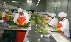 EXPORTACIONES AGRARIAS SUPERARON US$ 4.000 MILLONES ENTRE ENERO-OCTUBRE