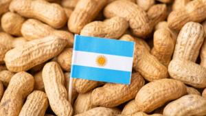 Exportaciones de maní por parte de Argentina sumaron US$ 1.190 millones en 2024