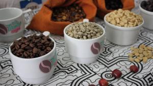 Exportaciones de San Martín sumaron US$ 294.562.000 en 2024, mostrando un aumento de 37%