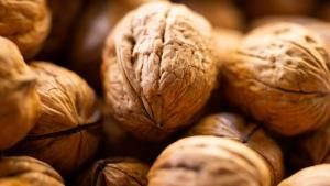 Exportaciones frutícolas de Chile alcanzaron los US$ 9.460 millones en la temporada 2024/2025, mostrando un aumento de 1.1%