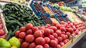 Exportaciones hortofrutícolas de España a todo el mundo alcanzó las 9.8 millones de toneladas por € 14.280 millones entre enero y octubre de 2024