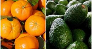 Exportaciones peruanas a Estados Unidos alcanzaron los US$ 725 millones en mayo de 2025, mostrando un aumento de 18%