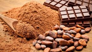 Exportaciones peruanas de cacao cayeron -2% en volumen pero aumentaron 5% en valor en abril de 2025