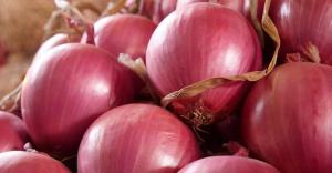 Exportaciones peruanas de cebolla sumaron 49.749 toneladas por US$ 23 millones en el primer trimestre de 2024
