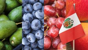 Exportaciones peruanas de frutas sumaron US$ 2.346 millones entre enero y mayo de 2025, registrando un alza de 27.8%