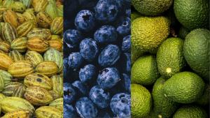 Exportaciones peruanas de frutas sumaron US$ 3.290.500.000 entre enero y julio de 2025, mostrando un aumento de 19.2%