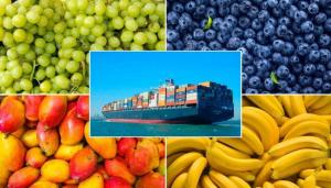 Exportaciones peruanas de frutas sumaron US$ 4.133 millones entre enero y agosto de 2025