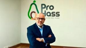 Exportaciones peruanas de palta Hass baten récord en la campaña 2025