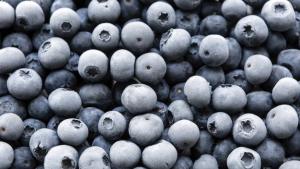 Exportaciones peruanas de paltas y arándanos congelados han mostrado crecimiento sostenido entre 2020 y 2024