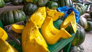 Exportaciones peruanas de zapallo sumaron 13,582 toneladas en 2024