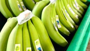 Fairtrade subirá los precios mínimos de la banana un 6%