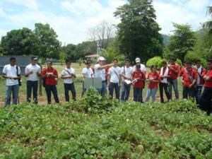 FAMILIAS DE HUAROCHIRÍ MEJORARÁN CALIDAD DE VIDA DEBIDO A PRACTICAS AGROPECUARIAS