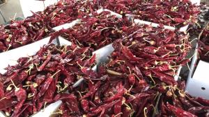 FDA registra seis casos de rechazos de despachos agrícolas peruanos en primer trimestre de 2023