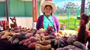 Feria Consume lo que Cajamarca produce promueve la rueda de negocios de papa y maíz morado