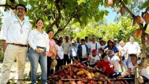 Fortalecerán estrategias y alianzas para impulsar el cultivo de cacao en San Martín