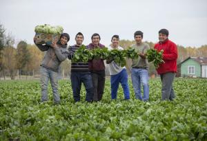 Globalización, cambio climático y urbanización son los principales desafíos para cooperativas y asociaciones rurales