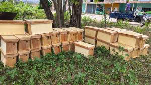 Gobierno cofinancia plan de negocio de miel de abejas para más 30 familias en Tumbes