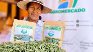 Gobierno pone en funcionamiento cuatro sedes de Agromercado en la costa