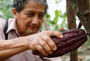 Gobierno Regional de San Martín ejecutó proyectos productivos por más de S/ 40 millones en 2021