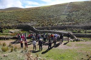 GORE Junín impulsará mega proyecto de forestación en “Lomo Verde” - Jauja