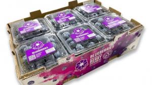 Grupo Agroberries anuncia la creación de BerryWorld Asia