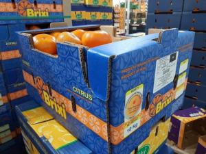 "Hemos observado una fuerte demanda de cítricos peruanos, especialmente de mandarinas sin semillas"