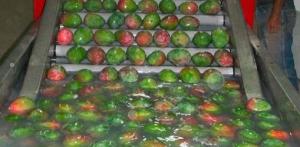 “HOMOLOGAR TABLA DE TEMPERATURA PARA CHILE, CHINA Y NUEVA ZELANDA ES EL RETO”