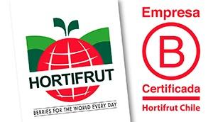 Hortifrut obtiene la certificación B Corp en todo el mundo