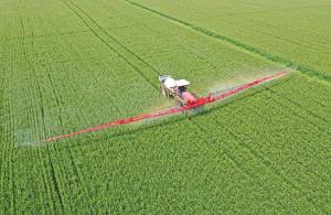 Hoy en día los agricultores pueden aplicar 10 veces menos plaguicidas por hectárea que hace 60 años