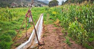 Huánuco: anuncian culminación de ocho obras de riego en beneficio de 800 familias productoras