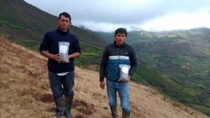Huánuco: transfieren tecnologías para conservar calidad del suelo agrario en cultivos de papa de la provincia de Ambo