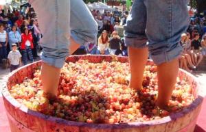Ica celebrará el 60° Festival Internacional de La Vendimia