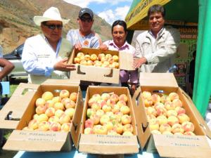 II FESTIVAL DEL MELOCOTÓN EN RAQUIA FUE TODO UN ÉXITO